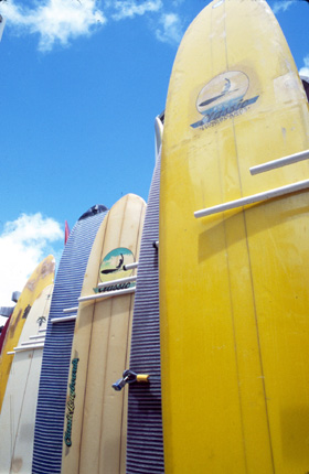 surfboards