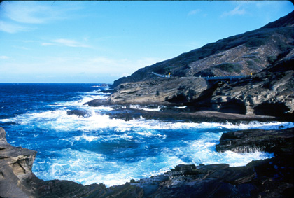 Hawaiian Surf